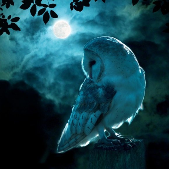 Meet your Posher, CGS💕Poshmark Ambassador💕 - Picture 3 of 10